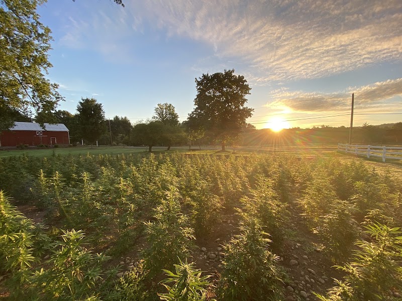 Addison Farm, LLC - Granby, CT | Hemp Farm and Co. | USA PRODUCTS GROWN AND MADE HERE | Our farm is your CBD store! — Hemp Business in Hartford, CT
