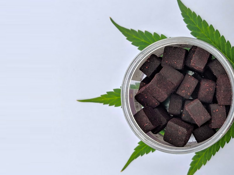 Casco Bay Hemp — Hemp Business in Biddeford, ME